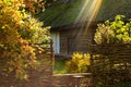 Landscape view of ancient Ukrainian village. Old building with viburnum bush