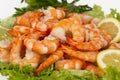 Perfect appetizer of boiled peeled shrimp Royalty Free Stock Photo