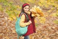 perfect autumn day of cheerful girl with school bag and maple leaves arrangement walking in fall season park in good Royalty Free Stock Photo