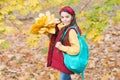 Perfect autumn day of cheerful girl with school bag and maple leaves arrangement walking in fall season park in good Royalty Free Stock Photo