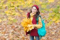 Perfect autumn day of cheerful kid with school bag and maple leaves arrangement walking in fall season park in good Royalty Free Stock Photo