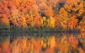 Perfect autumn reflections