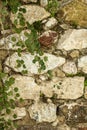 Perfect background: old stone wall with ivy Royalty Free Stock Photo