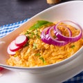 Perfect Bavarian obazda with radishes and onions