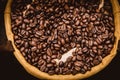 Perfect big coffee bean arabica rosted cafe background