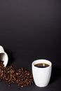A perfect black coffee Royalty Free Stock Photo
