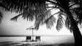 Dramatic summer beach landscape. Luxury vacation and holiday concept, summer travel in black and white. Panoramic landscape