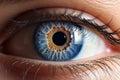 Perfect blue-eye macro. Perfect vision. The vision of the future and healthy life concept. View precise and straight to