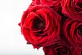 Beautiful bouquet of red roses, love and romance concept Royalty Free Stock Photo