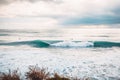 Perfect breaking ocean barrel wave and surfers