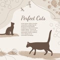 Perfect cats. Vector decorating design with the cats. Colorful template with copy space