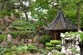 Perfect Chinese / Asian garden - rockery, green bushes, pagoda and pathway