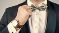 Perfect choice for elegant look. Male hand fix silver bow tie. Fashion accessory. Wedding and prom party. Holiday