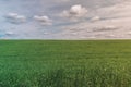 Colorful Bright Perfect Sunny Green Field Landscape With Blue Cloudy Sky and Clear Field