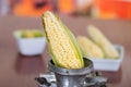 A perfect corn inside of a Mill pretending to be milled Royalty Free Stock Photo