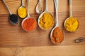 The perfect curry combination. spoons filled with a variety of spices.