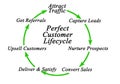 Perfect Customer Lifecycle