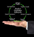 Perfect Customer Lifecycle Royalty Free Stock Photo