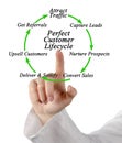 Perfect Customer Lifecycle Royalty Free Stock Photo