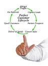 Perfect Customer Lifecycle Royalty Free Stock Photo