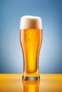 The Perfect Day for a Glass of Beer Royalty Free Stock Photo