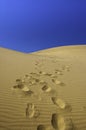 Perfect desert sand dunes