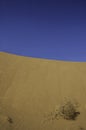 Perfect desert sand dunes