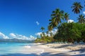 Perfect empty Caribbean sandy beach with clear water and green palm trees