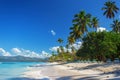 Perfect empty Caribbean sandy beach with clear water and green palm trees