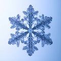 Intricate Stellar Dendrite Snowflake on Blue Royalty Free Stock Photo