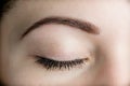 Perfect eye brow Royalty Free Stock Photo