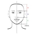 Perfect face proportions. Royalty Free Stock Photo