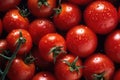 Perfect fresh red wet tomatoes with tomato on background. Generative AI Royalty Free Stock Photo