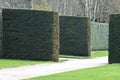 A perfect garden hedge in a country garden