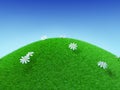 Perfect Grassy Hill Royalty Free Stock Photo