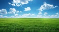Perfect green field with green grass and blue sky. Royalty Free Stock Photo