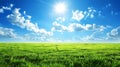 Perfect green field with green grass and blue sky. Royalty Free Stock Photo