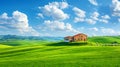 Perfect green field with green grass and blue sky. Royalty Free Stock Photo