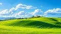 Perfect green field with green grass and blue sky. Royalty Free Stock Photo