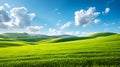Perfect green field with green grass and blue sky. Royalty Free Stock Photo