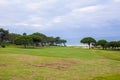 Perfect Green grass on a golf field Royalty Free Stock Photo