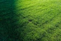 Perfect green grass lawn photo Royalty Free Stock Photo