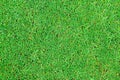 Perfect green grass texture from golf field Royalty Free Stock Photo