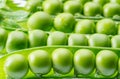 Perfect green peas in pea pods close up. Food background