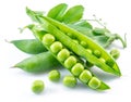 Perfect green peas in pod isolated on white background
