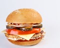The perfect hamburger with cheese, pickles, tomato, onions and lettuce Royalty Free Stock Photo