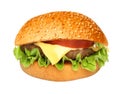 Perfect hamburger classic burger american cheeseburger isolated