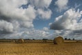 Perfect Harvest Landscape with blue sky with clouds Royalty Free Stock Photo