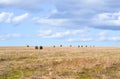 Perfect Harvest Landscape Royalty Free Stock Photo