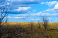 Perfect Harvest Landscape Royalty Free Stock Photo